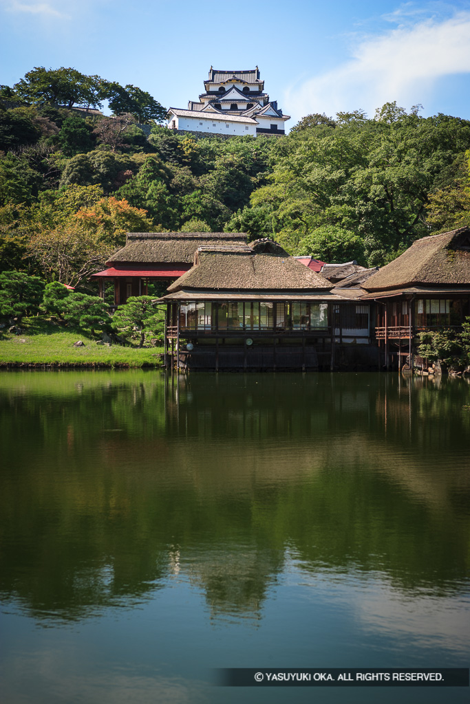 玄宮園から彦根城天守を望む：夏