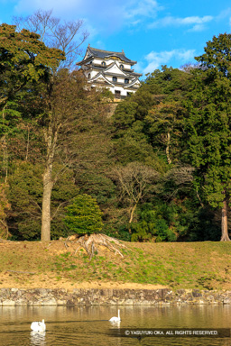 内掘から見る天守 | 高解像度画像サイズ：3744 x 5616 pixels | 写真番号：1P3J2929 | 撮影：Canon EOS-1Ds Mark III