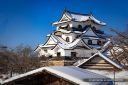 天守と雪 | 高解像度画像サイズ：8668 x 5778 pixels | 写真番号：5DSA3719 | 撮影：Canon EOS 5DS