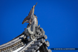 天守の鯱 | 高解像度画像サイズ：8489 x 5659 pixels | 写真番号：5DSA3765 | 撮影：Canon EOS 5DS