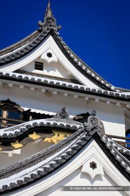 天守の妻戸 | 高解像度画像サイズ：5659 x 8489 pixels | 写真番号：5DSA3767 | 撮影：Canon EOS 5DS