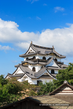 天守と夏 | 高解像度画像サイズ：3207 x 4810 pixels | 写真番号：VJ7Z6832 | 撮影：Canon EOS-1Ds Mark II