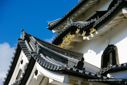 彦根城天守の千鳥破風・唐破風 | 高解像度画像サイズ：4992 x 3328 pixels | 写真番号：VJ7Z6846 | 撮影：Canon EOS-1Ds Mark II