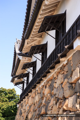 天守の突上窓 | 高解像度画像サイズ：3328 x 4992 pixels | 写真番号：VJ7Z6884 | 撮影：Canon EOS-1Ds Mark II