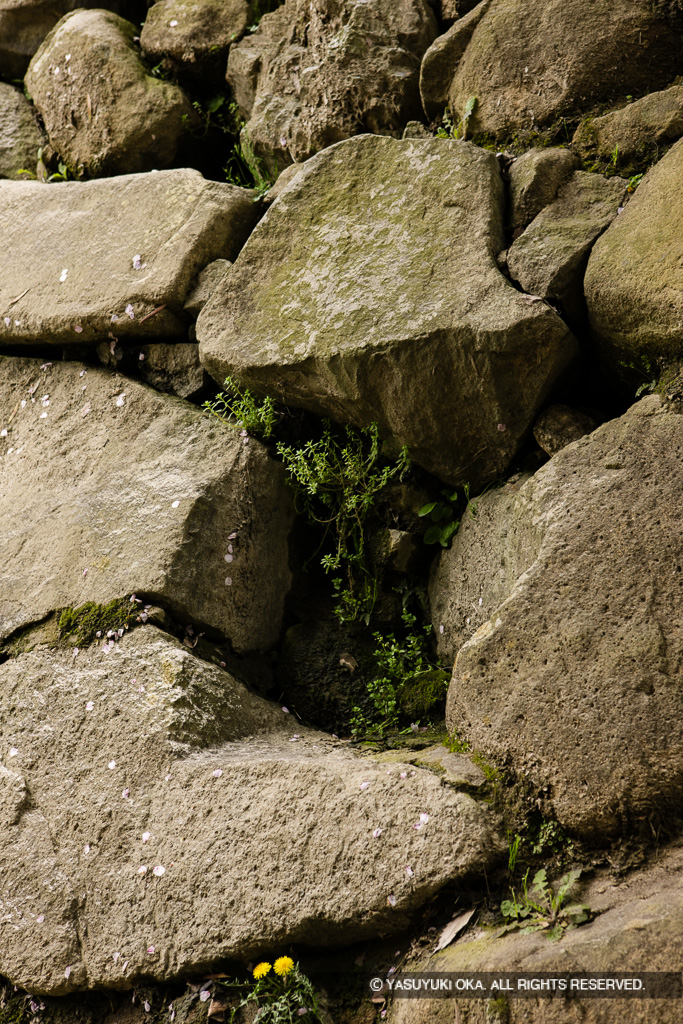 廊下橋の基礎本来の位置