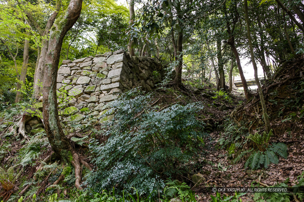彦根城登り石垣と竪堀・西の丸