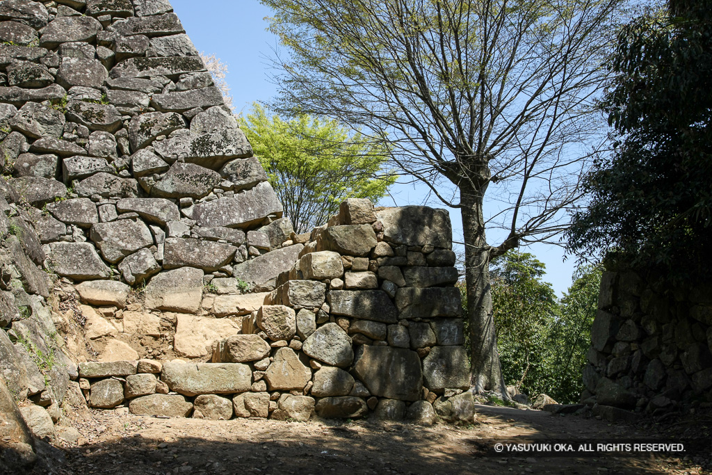 埋御門跡・太鼓丸