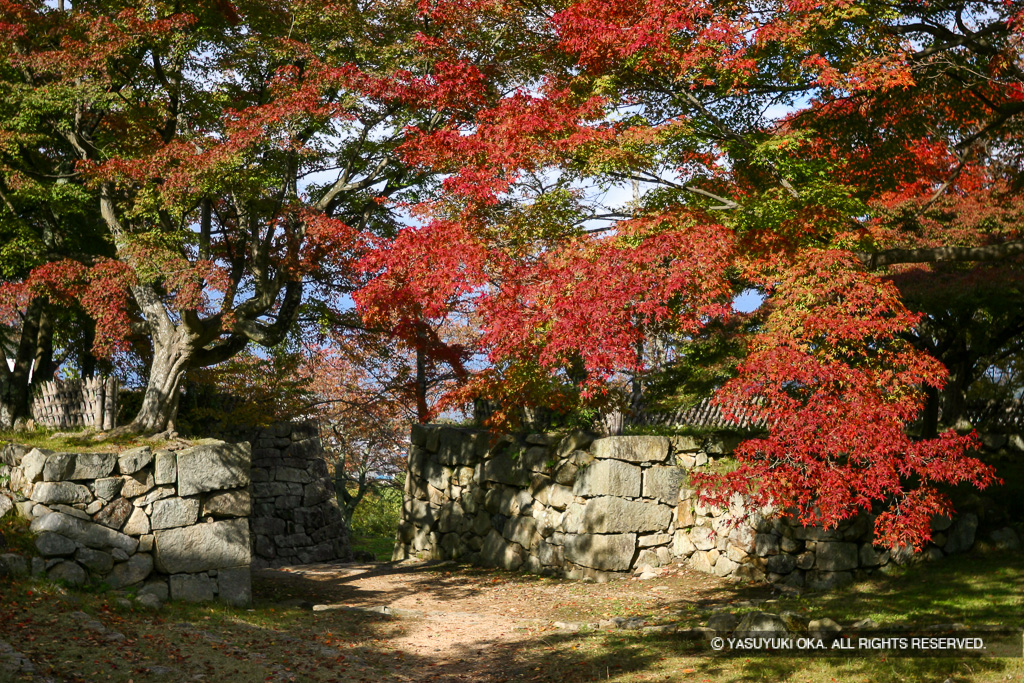 西の丸の枡形虎口・紅葉