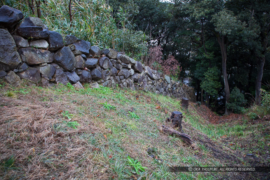 彦根城登り石垣と竪堀