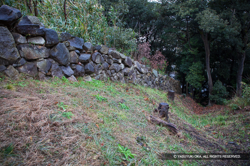 登り石垣と竪堀