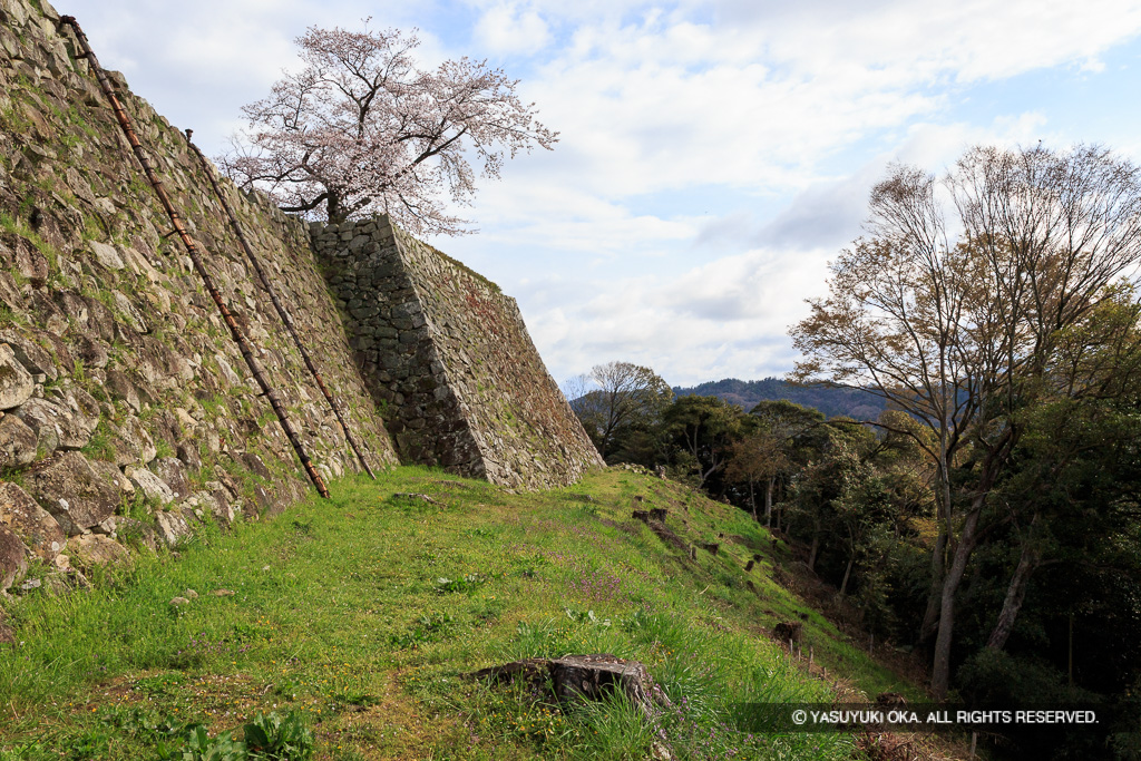 本丸石垣・月見櫓石垣