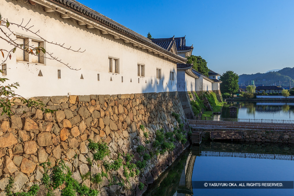 彦根城佐和口多聞櫓・夏