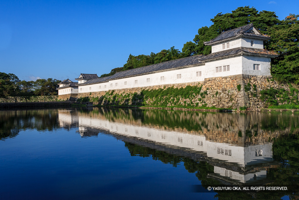 彦根城佐和口多聞櫓・夏