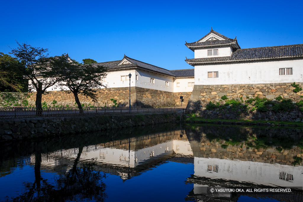彦根城佐和口多聞櫓・夏