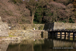 大手門虎口 | 高解像度画像サイズ：5616 x 3744 pixels | 写真番号：1P3J2894 | 撮影：Canon EOS-1Ds Mark III