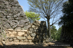埋御門跡・太鼓丸 | 高解像度画像サイズ：5616 x 3744 pixels | 写真番号：1P3J7133 | 撮影：Canon EOS-1Ds Mark III