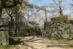 西の丸の枡形虎口 | 高解像度画像サイズ：5479 x 3652 pixels | 写真番号：1P3J7211 | 撮影：Canon EOS-1Ds Mark III