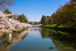 東側内堀 | 高解像度画像サイズ:5318 x 3546 pixels | 写真番号:1P3J7248 | 撮影:Canon EOS-1Ds Mark III