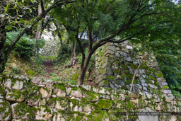 登り石垣と竪堀・鐘の丸｜高解像度画像サイズ：4901 x 3267 pixels｜写真番号：1P3J7352｜撮影：Canon EOS-1Ds Mark III