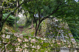 登り石垣と竪堀・鐘の丸 | 高解像度画像サイズ：4901 x 3267 pixels | 写真番号：1P3J7352 | 撮影：Canon EOS-1Ds Mark III