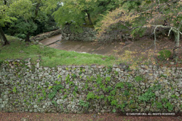 西の丸三重櫓から望む人質郭虎口 | 高解像度画像サイズ：5476 x 3651 pixels | 写真番号：1P3J7438 | 撮影：Canon EOS-1Ds Mark III