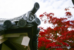 井伊家家紋・太鼓門櫓棟部の鬼瓦 | 高解像度画像サイズ：3072 x 2048 pixels | 写真番号：259-5901_IMG | 撮影：Canon EOS D60