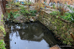 外堀跡 | 高解像度画像サイズ:5708 x 3805 pixels | 写真番号:5D4A3993 | 撮影:Canon EOS 5D Mark IV