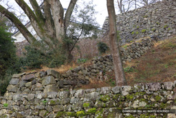 登り石垣 | 高解像度画像サイズ:6720 x 4480 pixels | 写真番号:5D4A4035 | 撮影:Canon EOS 5D Mark IV