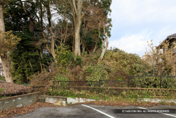 外堀土塁 | 高解像度画像サイズ:6720 x 4480 pixels | 写真番号:5D4A5227 | 撮影:Canon EOS 5D Mark IV