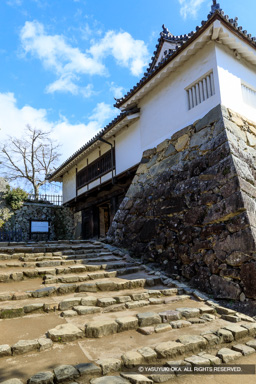 太鼓門櫓 | 高解像度画像サイズ:4480 x 6720 pixels | 写真番号:5D4A5481 | 撮影:Canon EOS 5D Mark IV