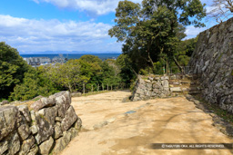 人質郭虎口 | 高解像度画像サイズ:6720 x 4480 pixels | 写真番号:5D4A5644 | 撮影:Canon EOS 5D Mark IV