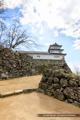 人質郭虎口 | 高解像度画像サイズ:4108 x 6161 pixels | 写真番号:5D4A5646 | 撮影:Canon EOS 5D Mark IV