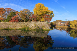 石垣と紅葉・二の丸南東隅 | 高解像度画像サイズ：8192 x 5464 pixels | 写真番号：6F1A6617 | 撮影：Canon EOS R5m2