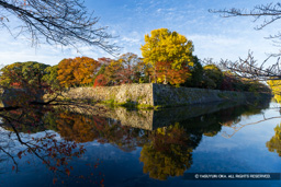 石垣と紅葉・二の丸南東隅 | 高解像度画像サイズ：8192 x 5464 pixels | 写真番号：6F1A6620 | 撮影：Canon EOS R5m2