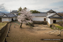 天秤櫓を城内側から | 高解像度画像サイズ：5472 x 3648 pixels | 写真番号：IMG_3949-Edit | 撮影：Canon EOS 6D