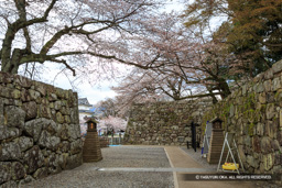 表門虎口 | 高解像度画像サイズ：5219 x 3479 pixels | 写真番号：IMG_3999 | 撮影：Canon EOS 6D