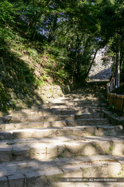 登城坂 | 高解像度画像サイズ：3328 x 4992 pixels | 写真番号：VJ7Z6775 | 撮影：Canon EOS-1Ds Mark II