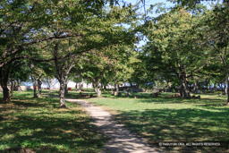 西の丸 | 高解像度画像サイズ:4992 x 3328 pixels | 写真番号:VJ7Z6886 | 撮影:Canon EOS-1Ds Mark II