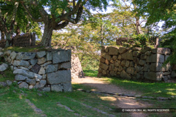 西の丸の枡形虎口 | 高解像度画像サイズ：4992 x 3328 pixels | 写真番号：VJ7Z6887 | 撮影：Canon EOS-1Ds Mark II