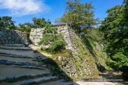 水手門跡・井戸郭から | 高解像度画像サイズ:4737 x 3158 pixels | 写真番号:VJ7Z6909 | 撮影:Canon EOS-1Ds Mark II