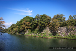 中堀 | 高解像度画像サイズ:4955 x 3304 pixels | 写真番号:VJ7Z6973 | 撮影:Canon EOS-1Ds Mark II