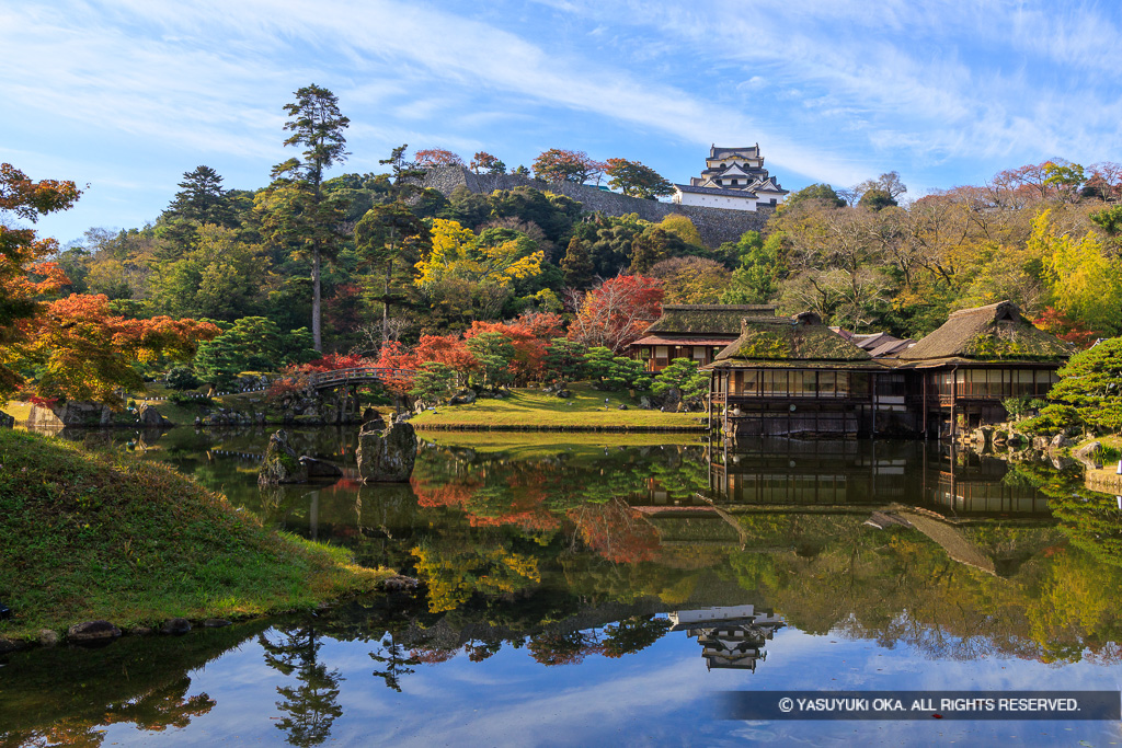 玄宮園から彦根城天守を望む：秋（紅葉）
