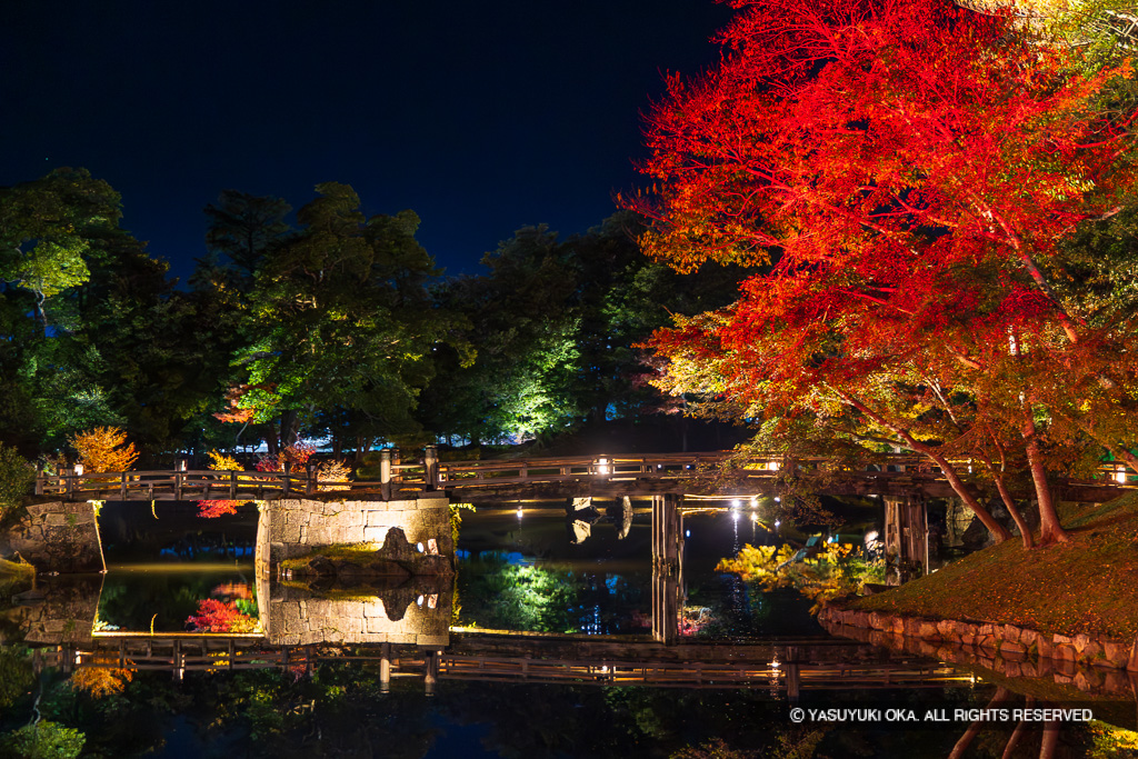 玄宮園の紅葉ライトアップ