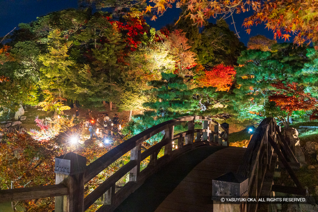 玄宮園の紅葉ライトアップ