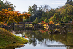 秋の玄宮園・紅葉 | 高解像度画像サイズ：8192 x 5464 pixels | 写真番号：6F1A6345 | 撮影：Canon EOS R5m2