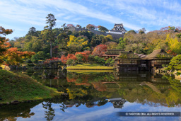玄宮園から彦根城天守を望む：秋（紅葉） | 高解像度画像サイズ：8192 x 5464 pixels | 写真番号：6F1A6390 | 撮影：Canon EOS R5m2