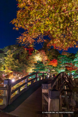 玄宮園の紅葉ライトアップ | 高解像度画像サイズ：5009 x 7509 pixels | 写真番号：6F1A6740 | 撮影：Canon EOS R5m2