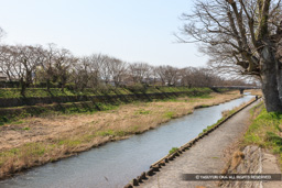 芹川 | 高解像度画像サイズ：5547 x 3698 pixels | 写真番号：1P3J4442 | 撮影：Canon EOS-1Ds Mark III