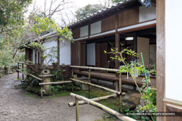 埋木舎 | 高解像度画像サイズ：6720 x 4480 pixels | 写真番号：5D4A5288 | 撮影：Canon EOS 5D Mark IV