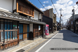 花しょうぶ通り | 高解像度画像サイズ：6720 x 4480 pixels | 写真番号：5D4A5911 | 撮影：Canon EOS 5D Mark IV